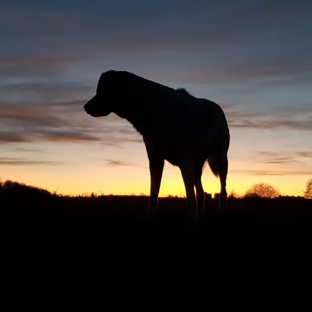 2019-03-16 - Landebahn bei Sonnenuntergang