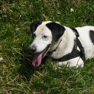 2017-06-24 - Riffelscharte bei Garmisch