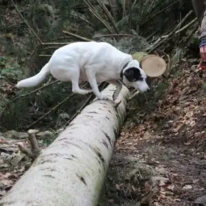 2016-02-14 - Von Hausham zum Rotwandhaus