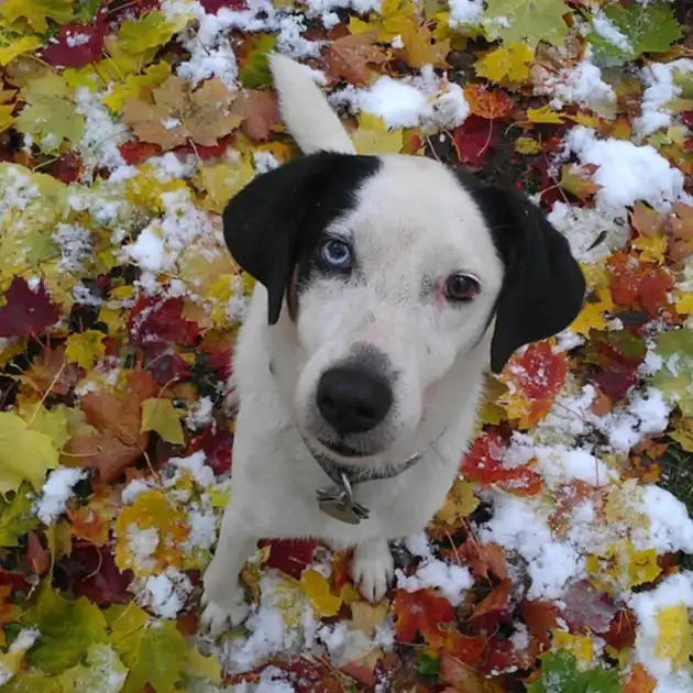 2012-12-01 - Handy-Hintergrundbild von Caro