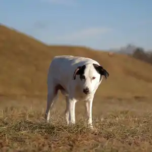 2022-01-16 - Landebahn