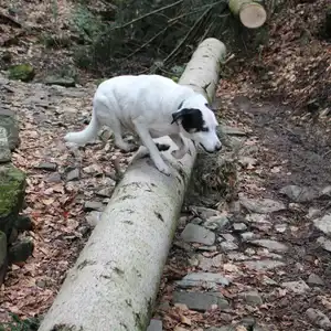 2016-02-14 - Von Hausham zum Rotwandhaus