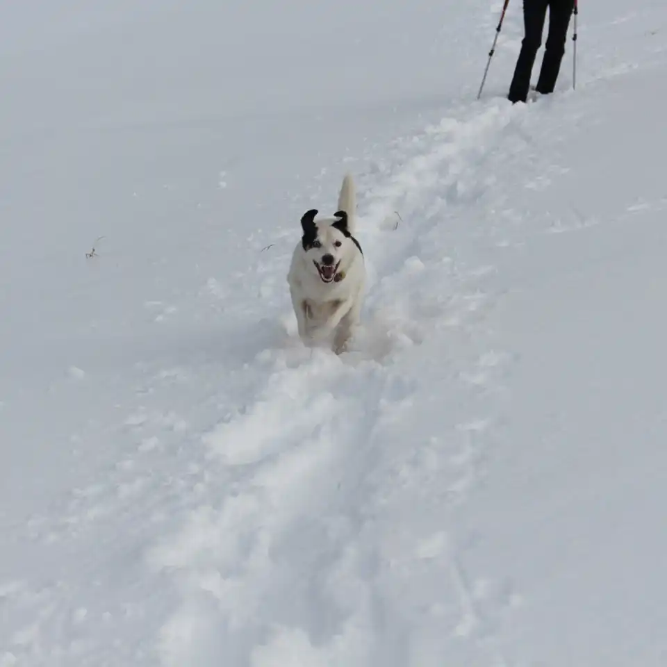 2016-02-14 - Von Hausham zum Rotwandhaus