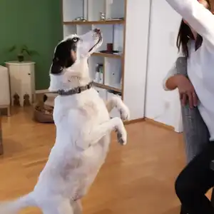 2018-05-16 - Spaghetti