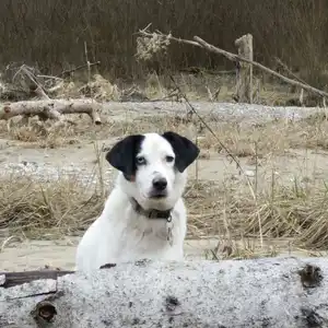 2016-02-09 - an der Isar