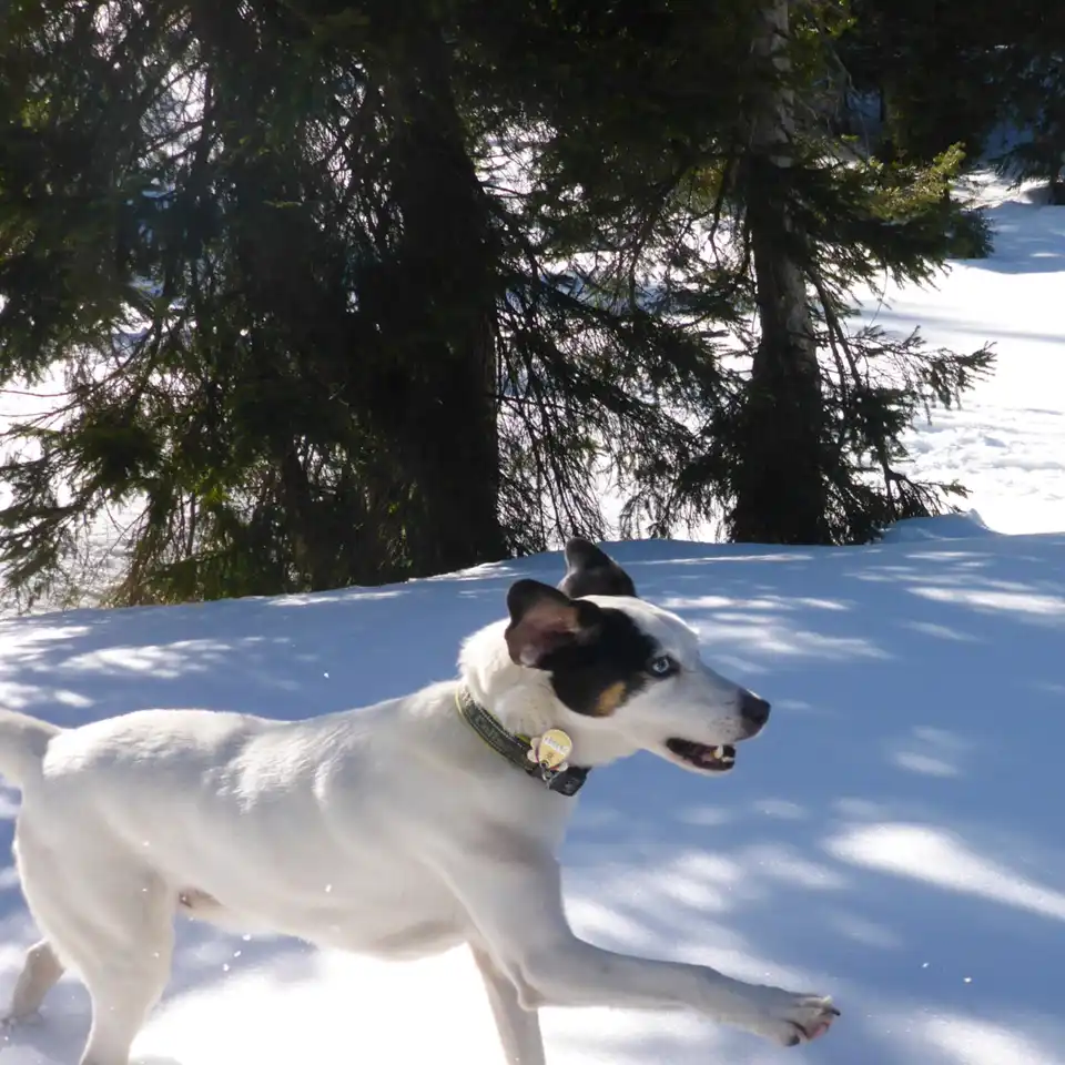 2017-02-27 - Iglu Übernachtung