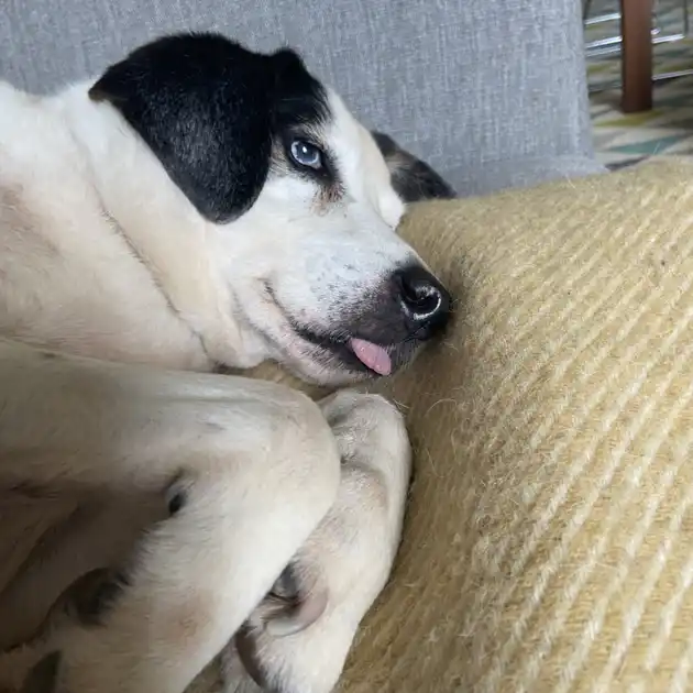 2021-06-05 - Michaelas Lieblingsbild