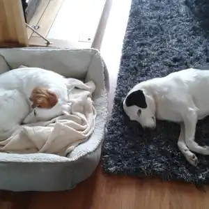 2021-07-02 - Occhi bei Michaela