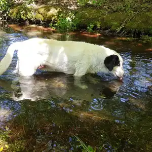 2022-05-11 - Hachinger Bach