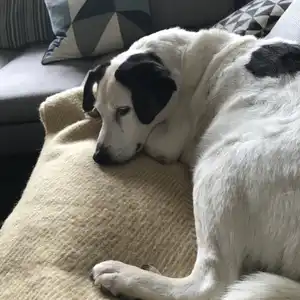 2021-06-05 - Occhi bei Michaela