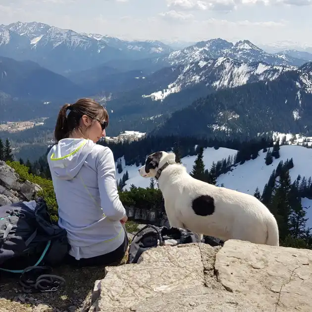 2018-04-22 - Wallberg