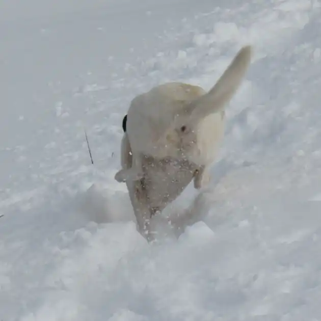 2016-02-14 - Von Hausham zum Rotwandhaus