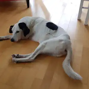 2022-09-14 - Das letzte Foto...