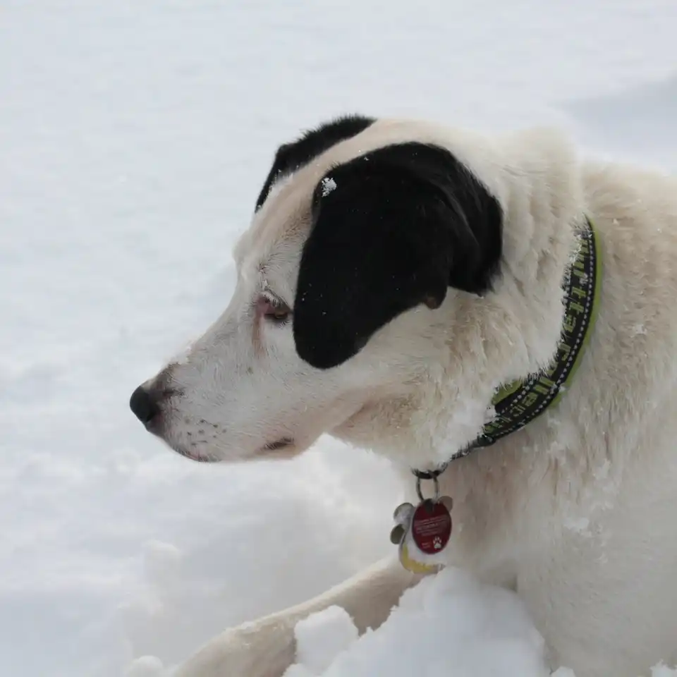 2016-02-14 - Von Hausham zum Rotwandhaus