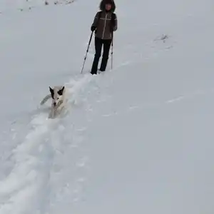 2016-02-14 - Von Hausham zum Rotwandhaus