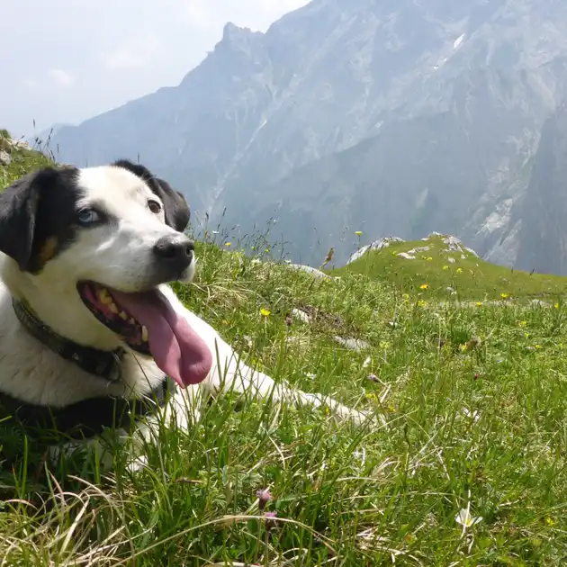 2017-06-24 - Riffelscharte bei Garmisch