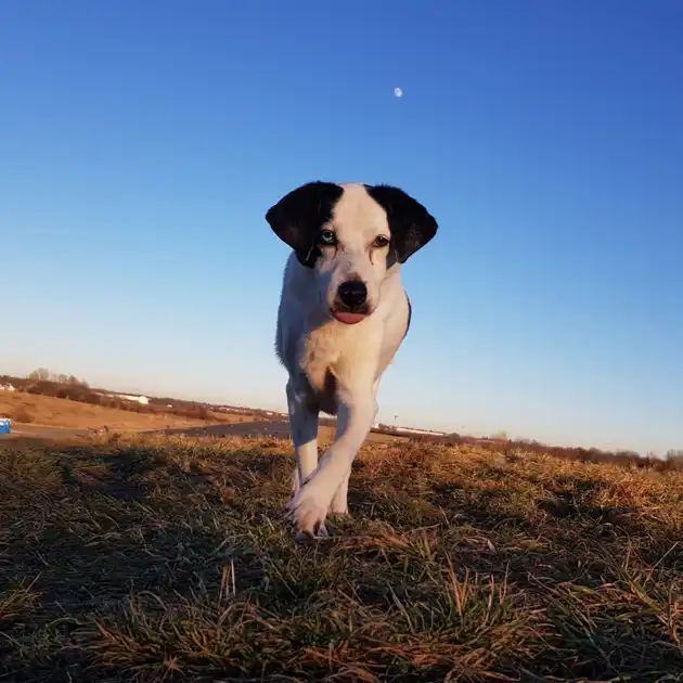 2022-01-14 - Landebahn
