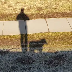 2018-03-25 - Landebahn