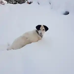 2017-12-29 - Winterwanderung in Richtung Grünen Ups