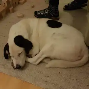 2021-12-24 - Weihnachten