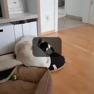 2018-03-11 - Occhi träumt