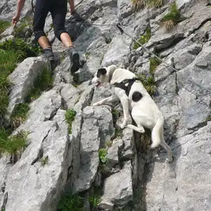 2017-06-24 - Riffelscharte bei Garmisch