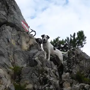 2016-08-06 - Occhi am Drachenkopf