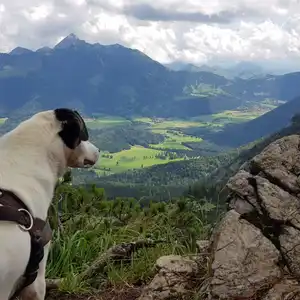 2020-07-12 - Aipelspitz