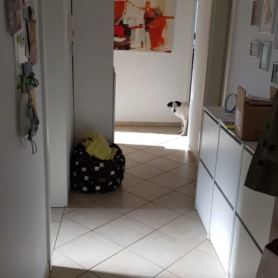 2022-09-13 - letztes Verabschieden auf dem Weg in die Arbeit...