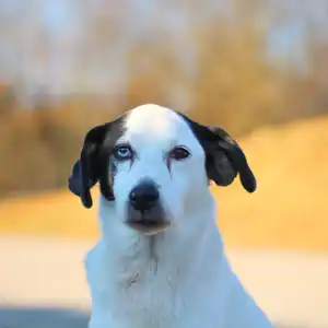2022-01-16 - Landebahn