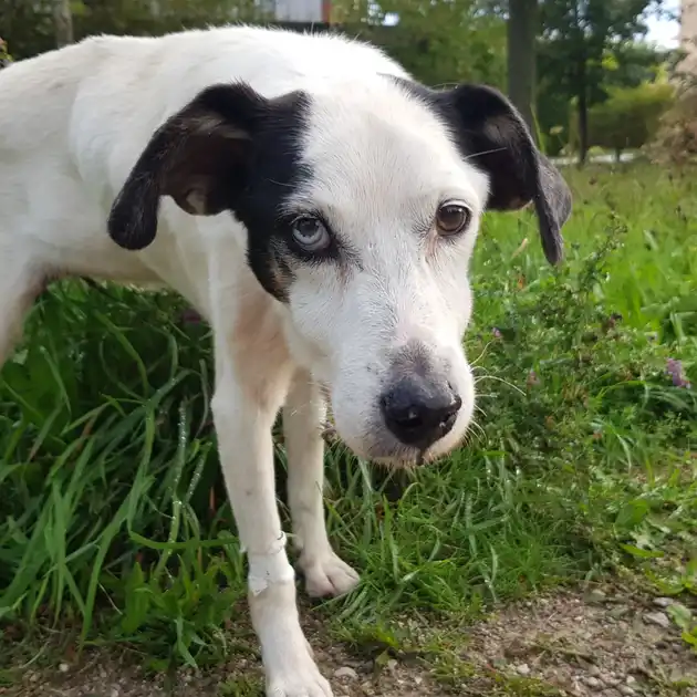 2022-09-10 - die Stumpfwiese