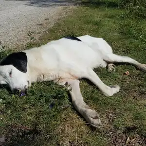 2022-08-14 - die Stumpfwiese