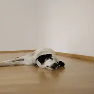 2017-07-12 - die leere Wohnung vor dem Einzug