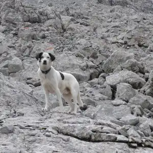 2016-08-06 - Occhi am Dranchenkopf