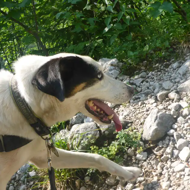 2017-06-24 - Riffelscharte bei Garmisch