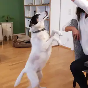 2018-05-16 - Spaghetti